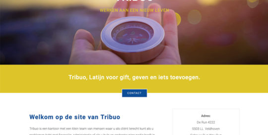 Olafs grafische vormgeving webdesign eindhoven